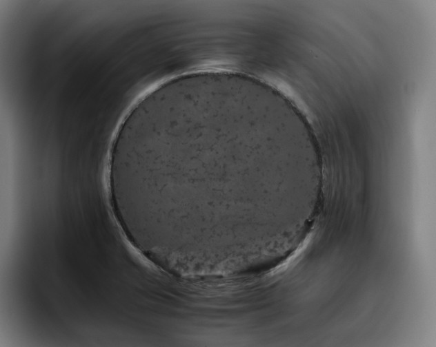X0000093431421200710121153