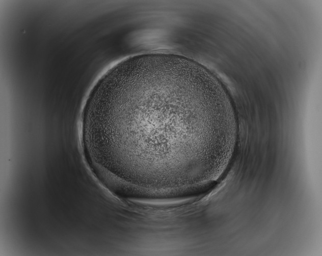 X0000093431424200710121153