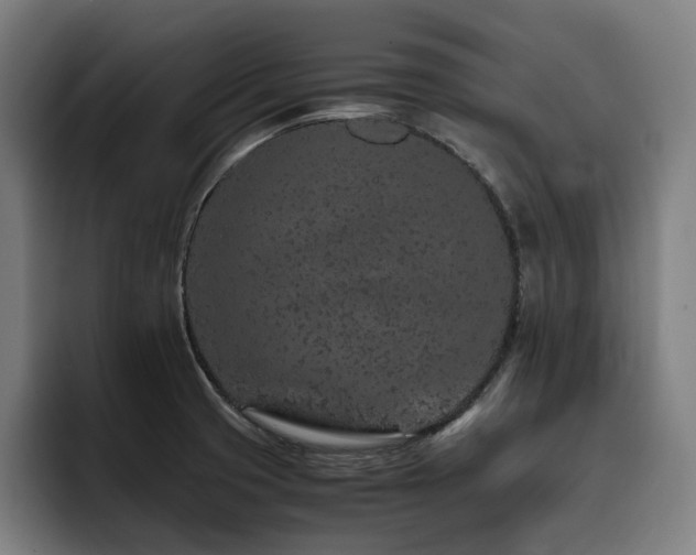 X0000093431425200710121153