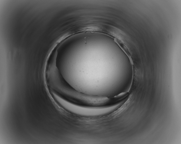 X0000093431426200710121153
