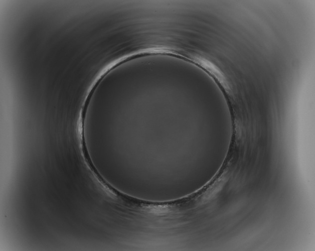 X0000093431428200710121153