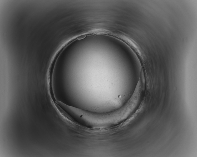 X0000093431430200710121153