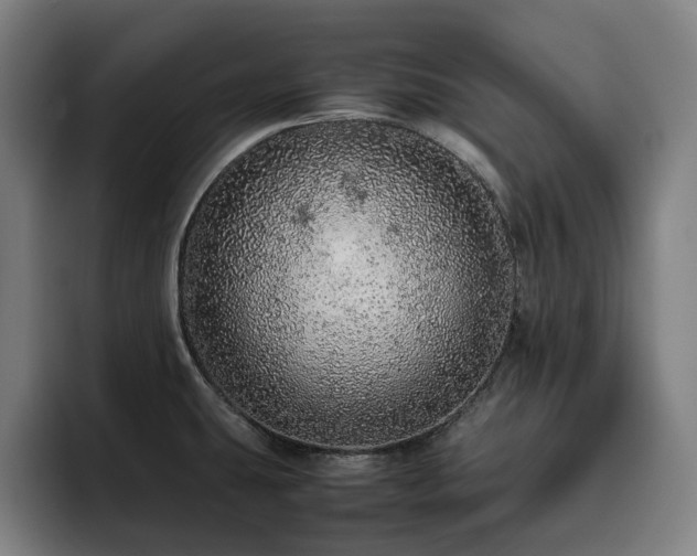 X0000093431431200710121153