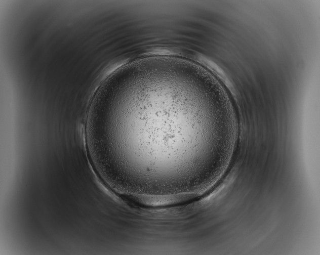 X0000093431433200710121153