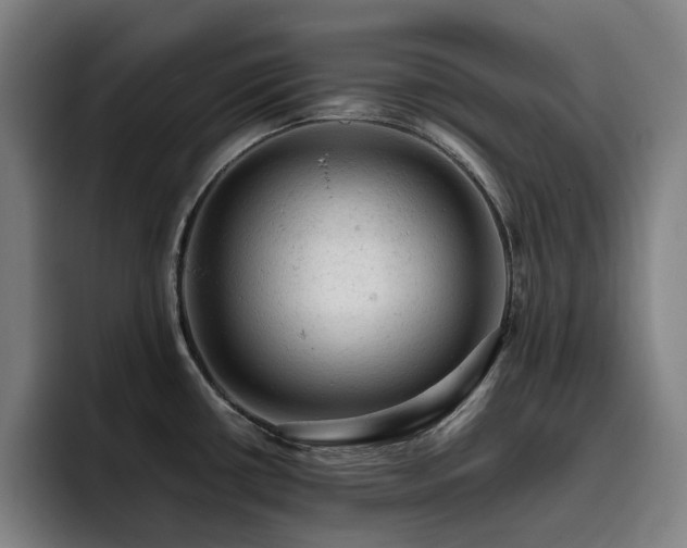 X0000093431434200710121153