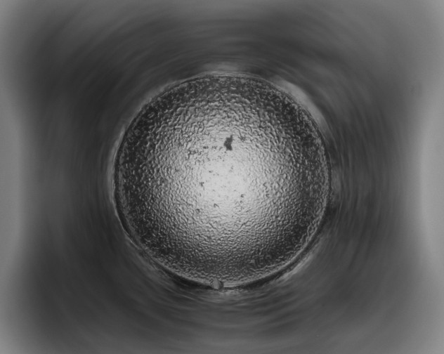 X0000093431435200710121153