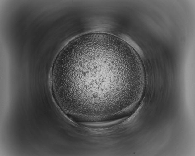 X0000093431436200710121153