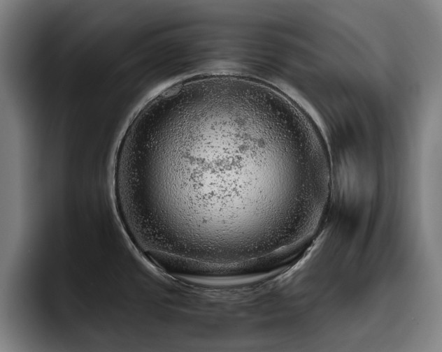 X0000093431437200710121153