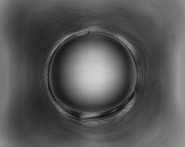 X0000093431438200710121153