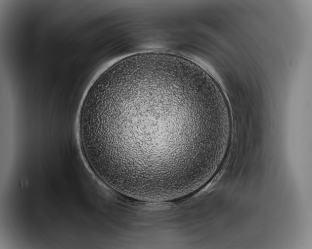 X0000093431440200710121154