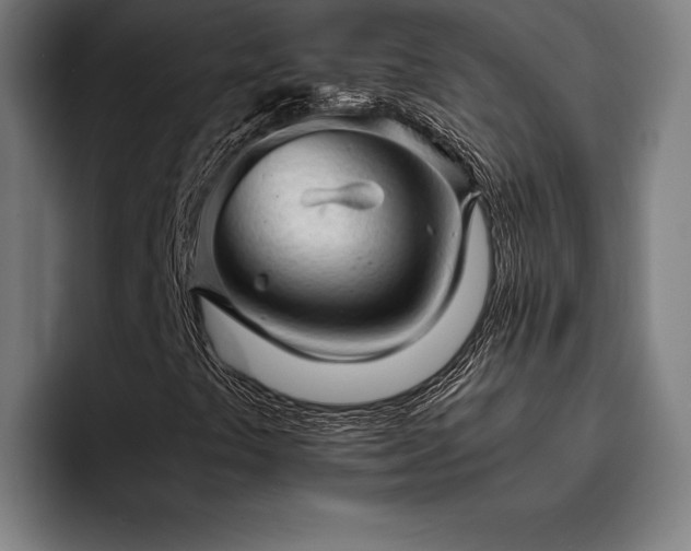 X0000093431441200710121153