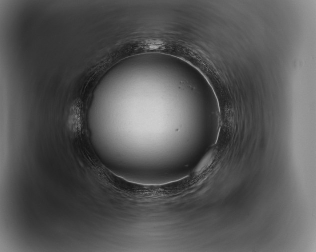 X0000093431442200710121153
