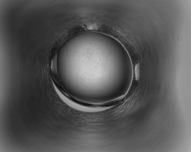 X0000093431443200710121153