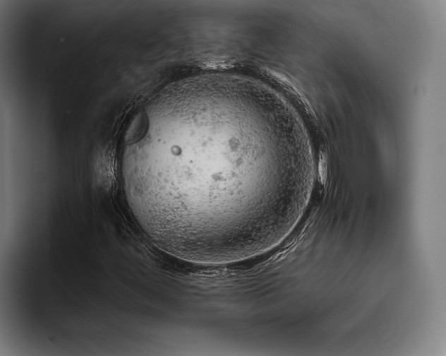 X0000093431444200710121153