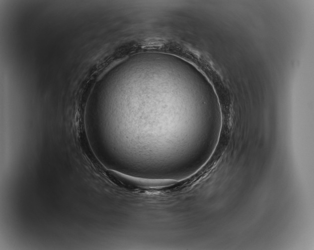 X0000093431445200710121153