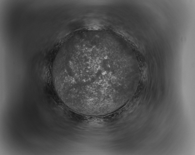 X0000093431446200710121153