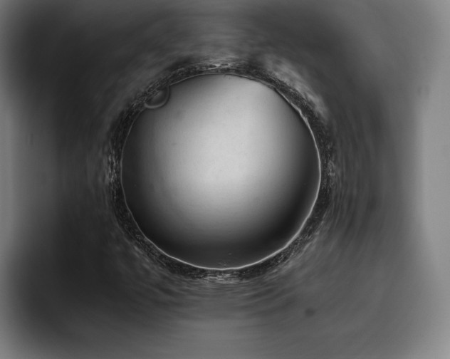 X0000093431447200710121153