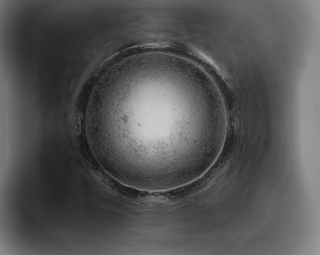 X0000093431448200710121153