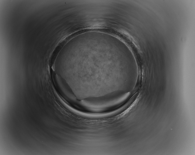 X0000093431449200710121153