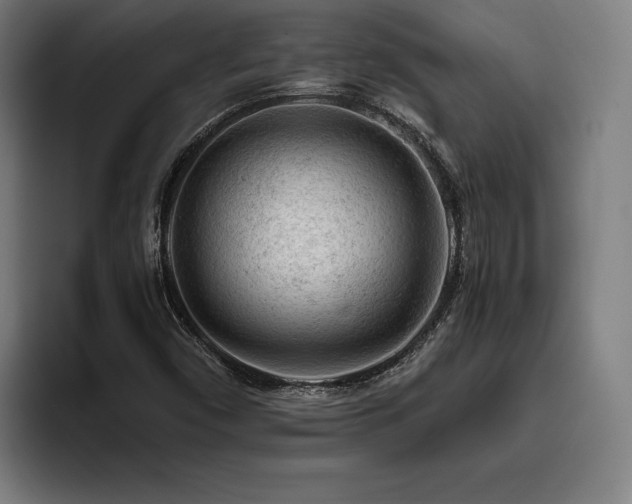 X0000093431450200710121153