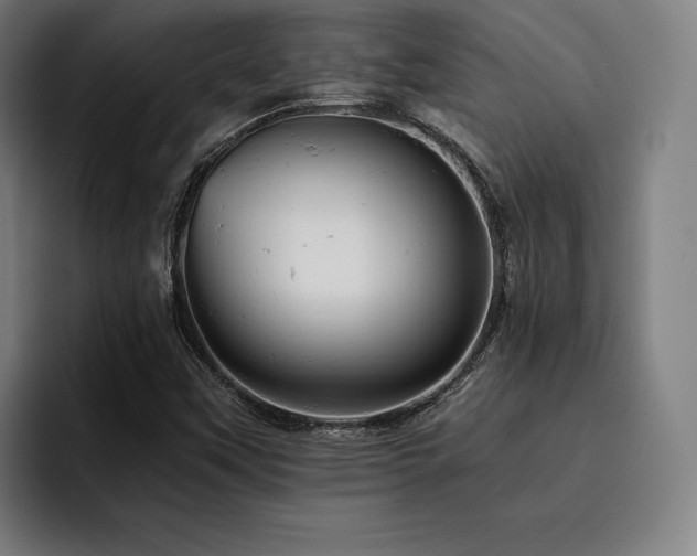 X0000093431451200710121153