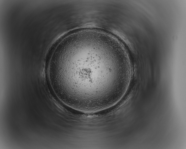 X0000093431452200710121153