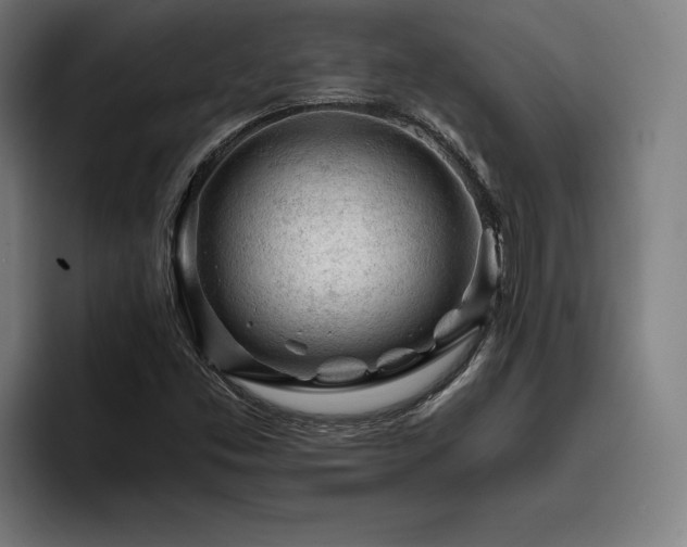 X0000093431453200710121153