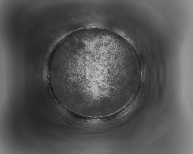X0000093431454200710121153