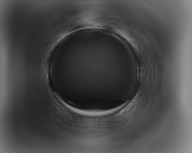 X0000093431455200710121153
