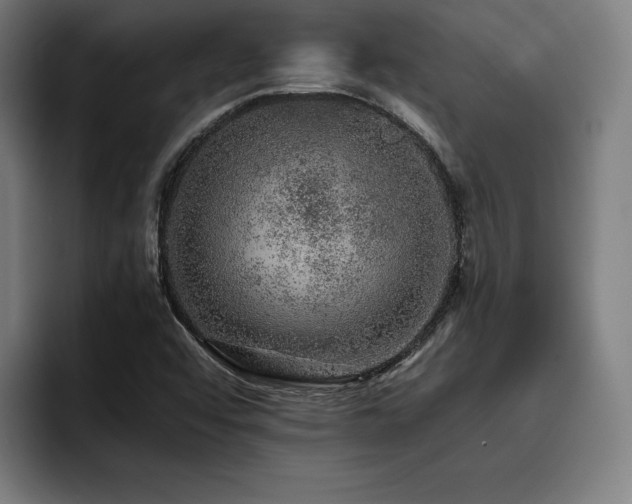 X0000093431456200710121153