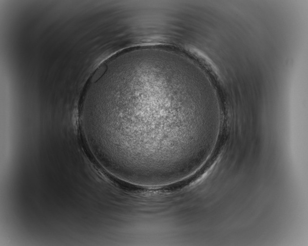 X0000093431457200710121153