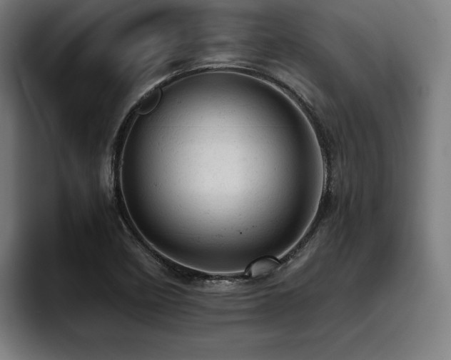 X0000093431458200710121153