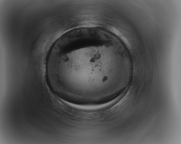 X0000093431459200710121153