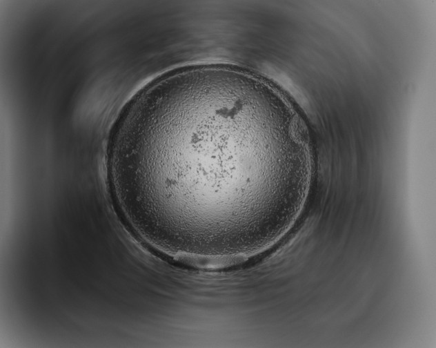 X0000093431460200710121153