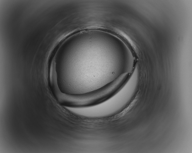 X0000093431461200710121153