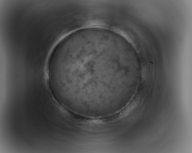 X0000093431462200710121153