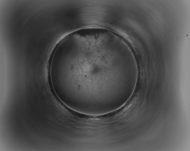 X0000093431463200710121153