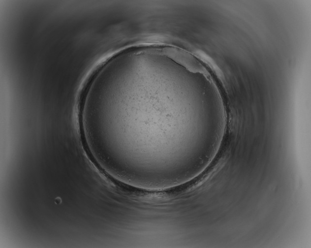 X0000093431464200710121153