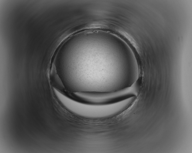 X0000093431465200710121153
