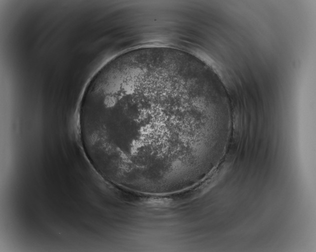 X0000093431466200710121153