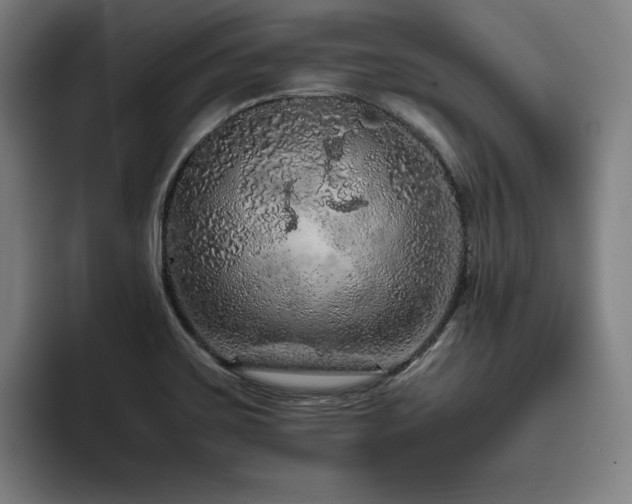 X0000093431467200710121153