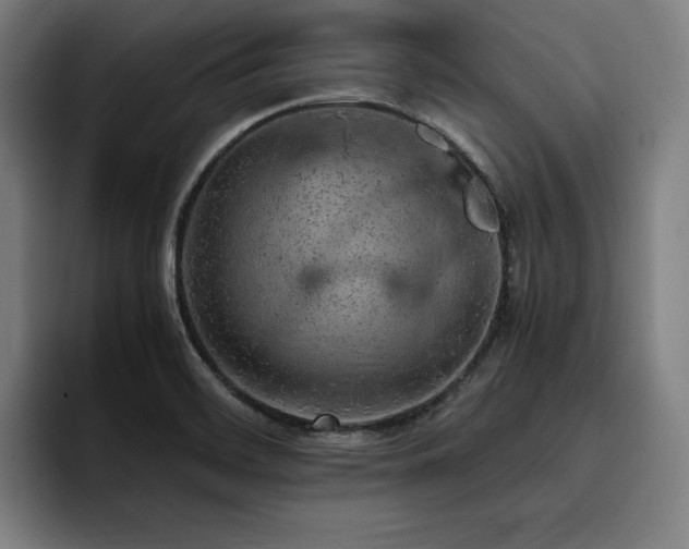 X0000093431468200710121153