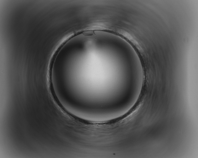 X0000093431469200710121153