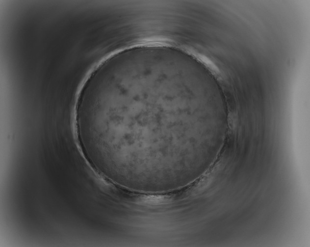X0000093431470200710121153