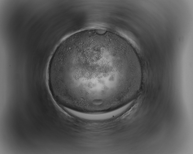 X0000093431471200710121153
