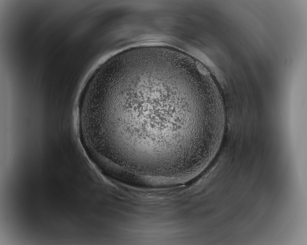 X0000093431472200710121153