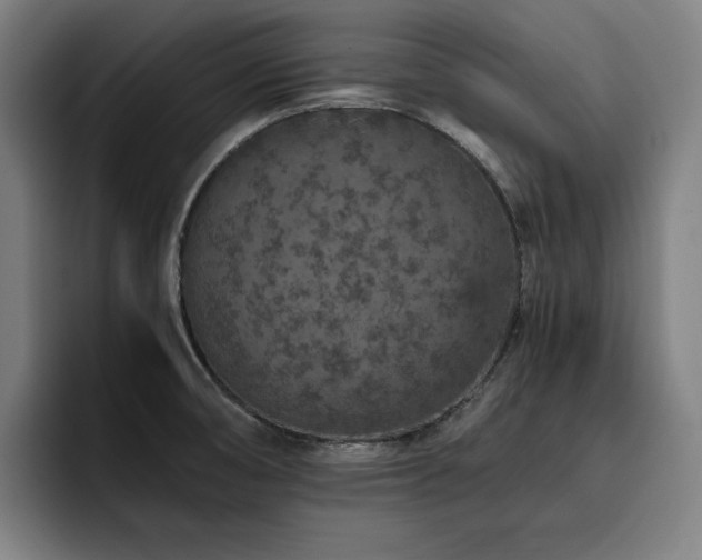 X0000093431474200710121153