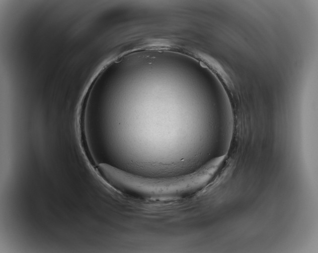 X0000093431475200710121153