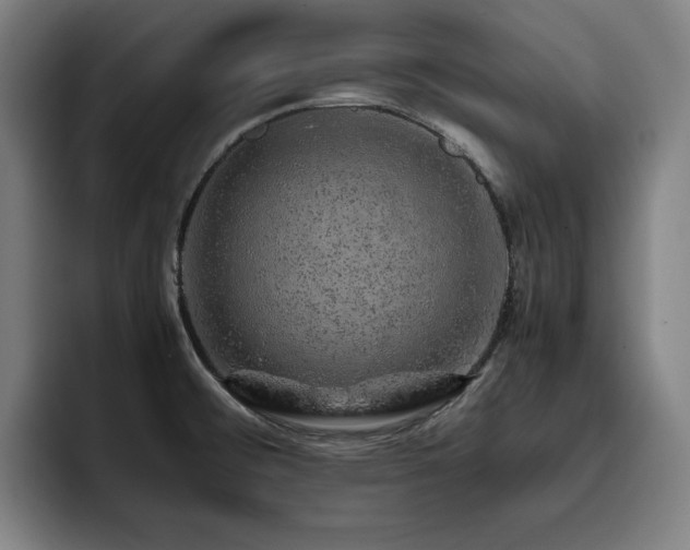 X0000093431476200710121153