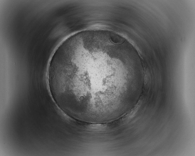 X0000093431478200710121153